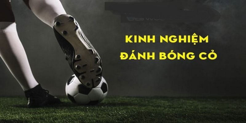 bong-co-la-gi-kinh-nghiem